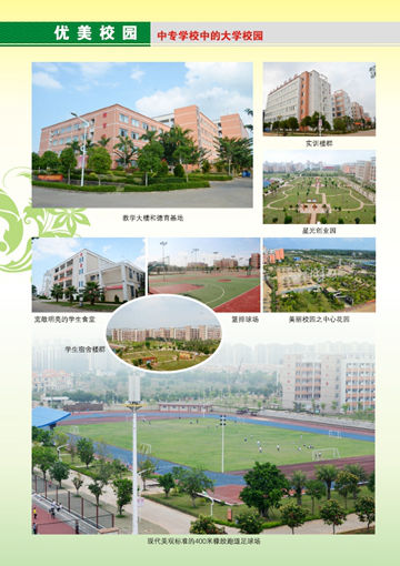 星空官方网站2016年招生简章6
